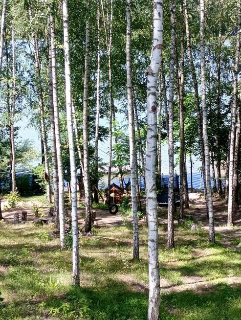 Agroturystyka dom i domki nad jeziorem