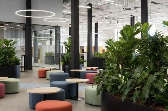 Zadbaj o czystość w swoim miejscu pracy! - EKOBRIS Warszawa