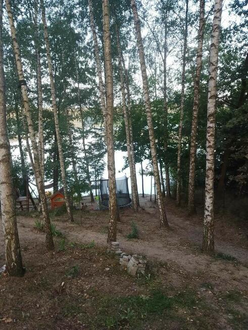 Agroturystyka Dom i domki nad jeziorem Sosno