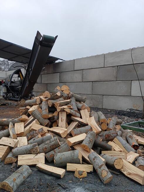 Drewno kominkowe brzoza Buk dąb