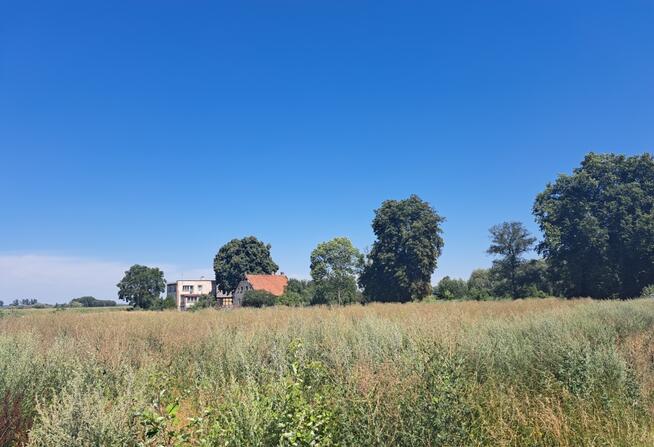 Zaszczytowo działka budowlana 2500m2 z WZ