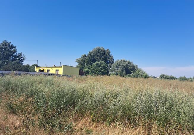 Zaszczytowo działka budowlana 2500m2 z WZ