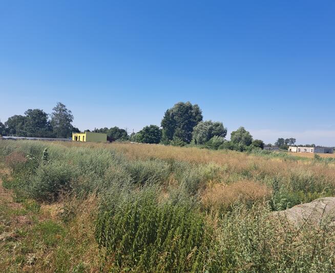 Zaszczytowo działka budowlana 2500m2 z WZ