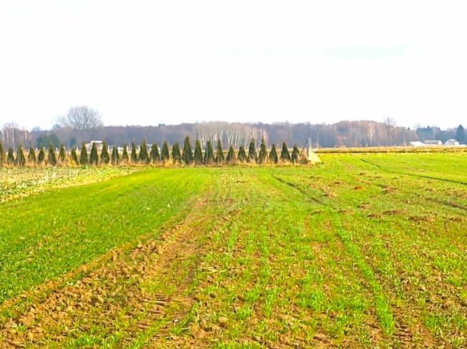 Działka rolno-budowlana Sporniak gm. Konopnica