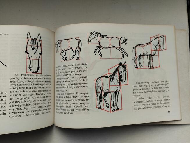 Poradnik rysowania i malowania obrazów. Książka.