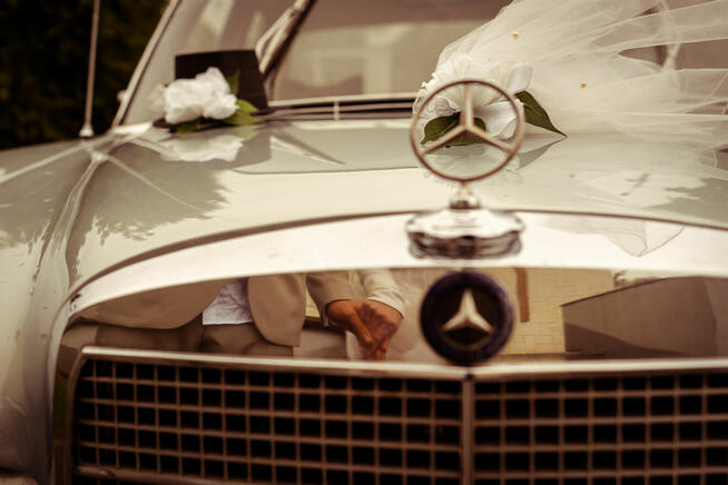 Galeria Marzeń Grzegorz Maj - kamerzysta / fotograf