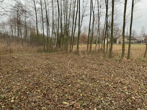 działka w gminie Mszczonów - wieś Wólka Wręcka