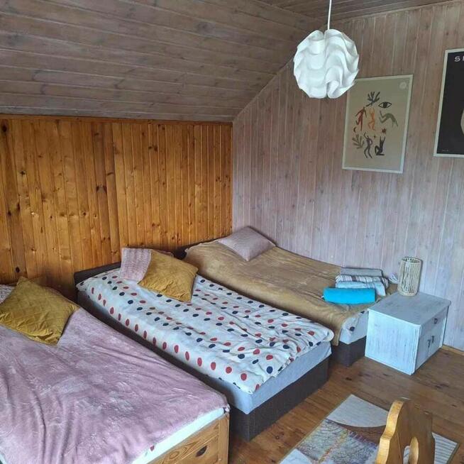 Agroturystyka Dom i domki nad jeziorem Sosno