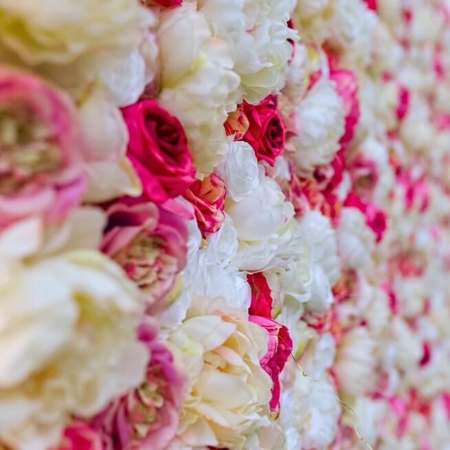 Stroimy.pl - Balony z helem i dekoracje Poznań