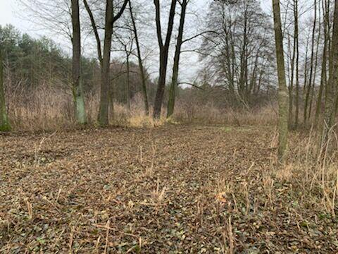 działka w gminie Mszczonów - wieś Wólka Wręcka