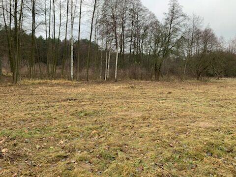 działka w gminie Mszczonów - wieś Wólka Wręcka