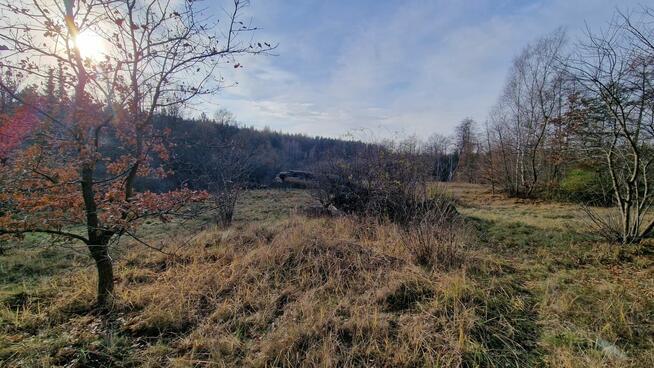 Sikorka działka budowlana przy lesie