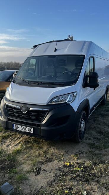 Wynajmę busa Opel Movano L4H2 2024r