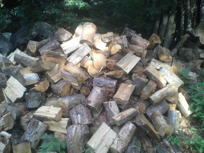 Drewno opałowe - kominkowe