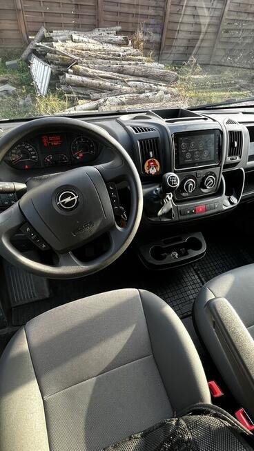 Wynajmę busa Opel Movano L4H2 2024r