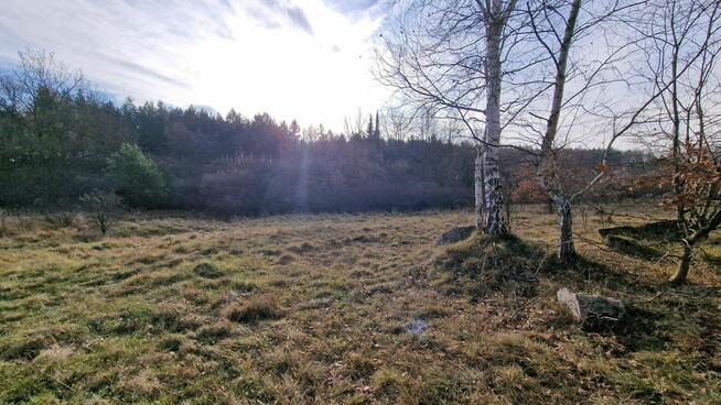 Sikorka działka budowlana przy lesie