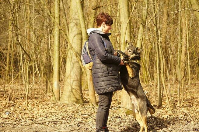 Fajny szuka domów -schronisko Zgierz-aktualne