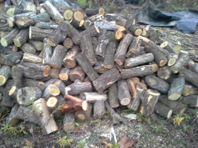 Drewno opałowe - kominkowe