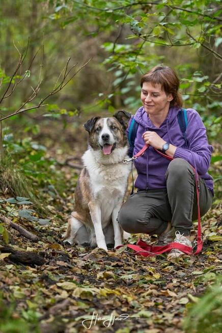 Wizir nie widzi szuka domu schronisko Zgierz aktualne