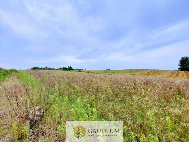 Działka budowlana | Młynek k. PRZODKOWA