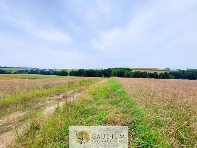 Działka budowlana | Młynek k. PRZODKOWA