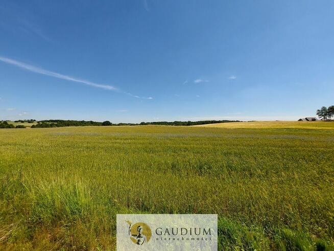 Działka budowlana | Młynek k. PRZODKOWA