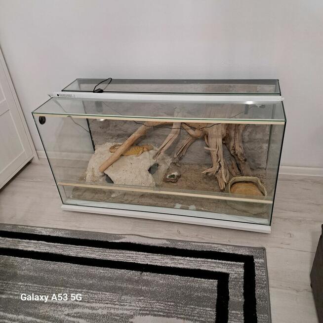 Terrarium dla jaszczurki lub węża