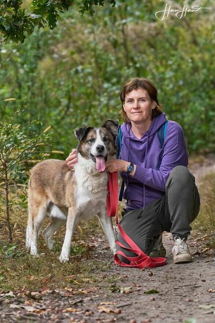 Wizir nie widzi szuka domu schronisko Zgierz aktualne