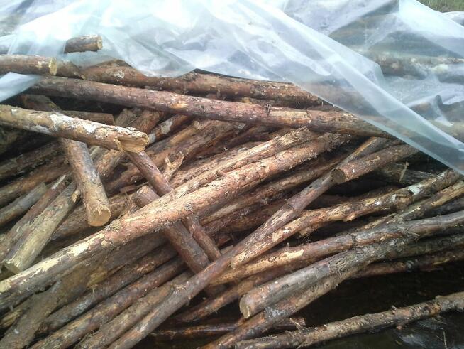 Drewno opałowe - kominkowe