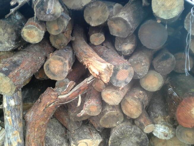 Drewno opałowe - kominkowe