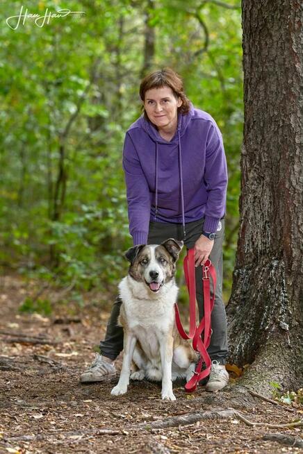 Wizir nie widzi szuka domu schronisko Zgierz aktualne