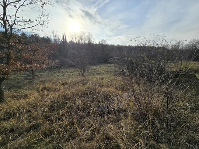 Sikorka działka budowlana przy lesie