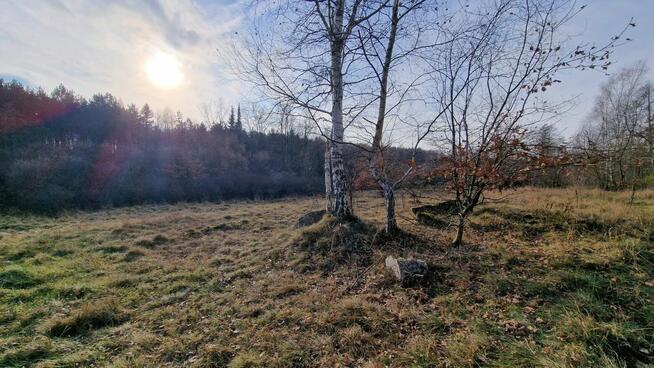 Sikorka działka budowlana przy lesie