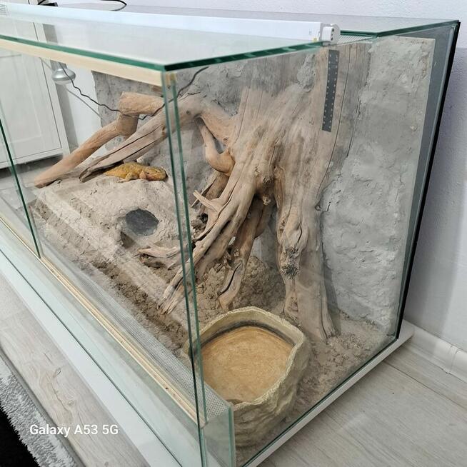 Terrarium dla jaszczurki lub węża