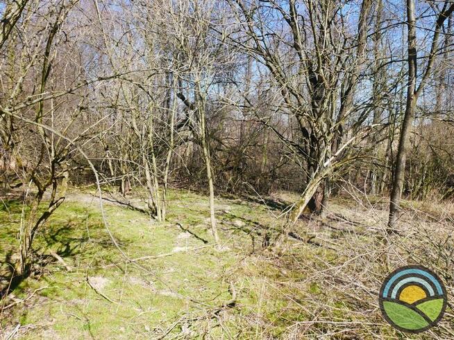 Niegoszowice gm. Zabierzów - działka 186-arowa