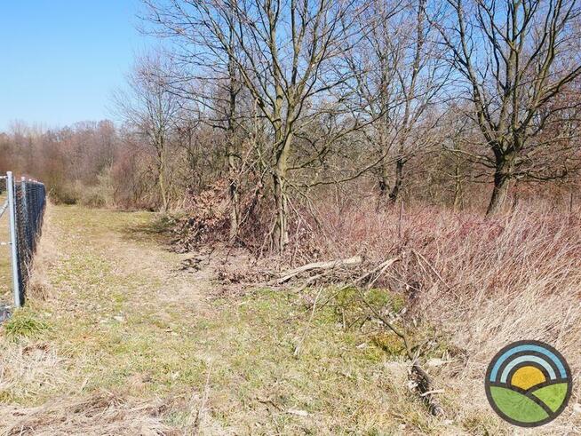 Niegoszowice gm. Zabierzów - działka 186-arowa