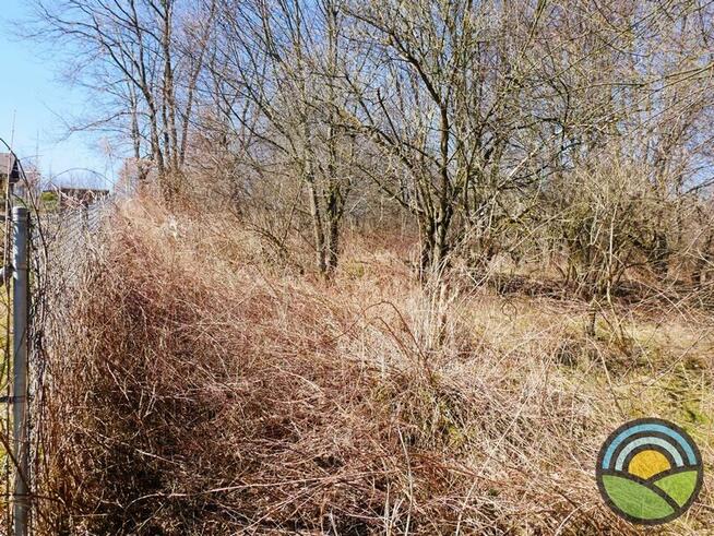 Niegoszowice gm. Zabierzów - działka 186-arowa