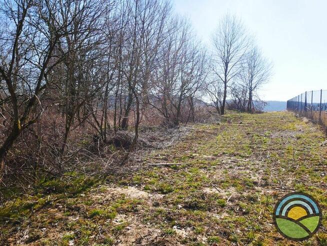 Niegoszowice gm. Zabierzów - działka 186-arowa