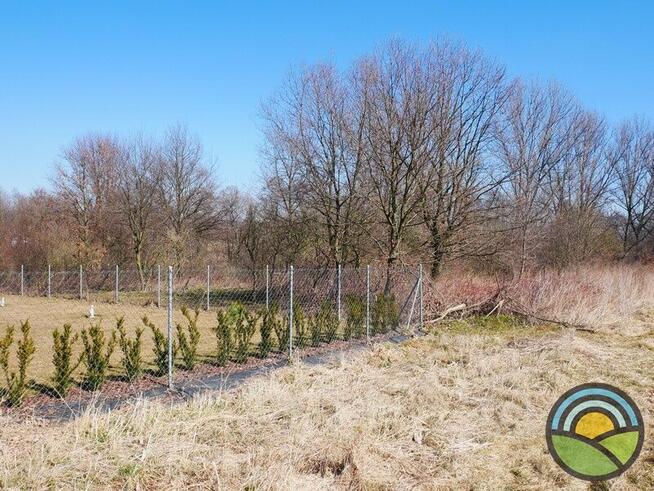 Niegoszowice gm. Zabierzów - działka 186-arowa