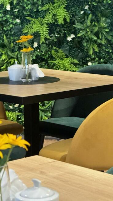 Projektowanie wnętrz usługowych