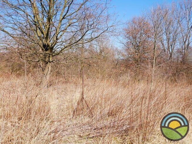 Niegoszowice gm. Zabierzów - działka 186-arowa