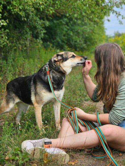 A ta piękna dama wciąż jest sama - adoptuj Sarę