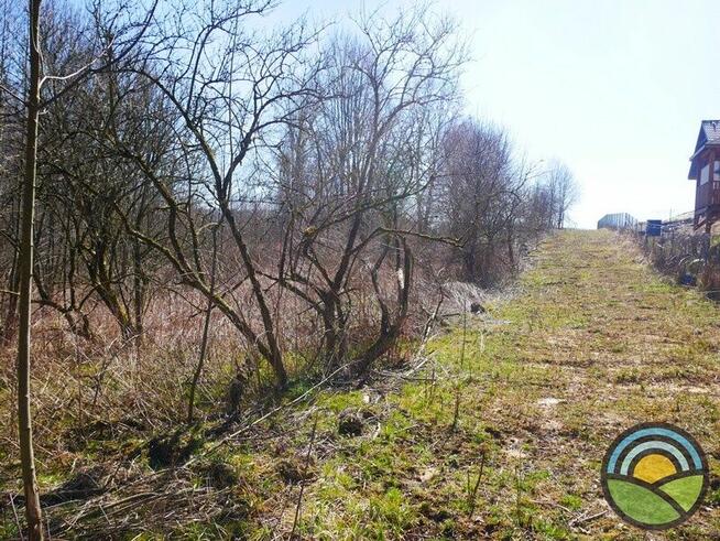 Niegoszowice gm. Zabierzów - działka 186-arowa