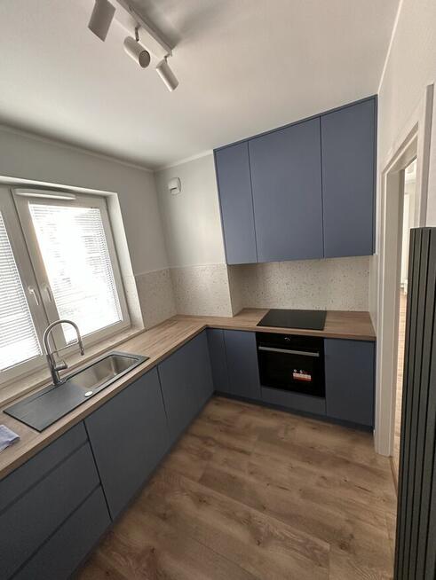 Wynajem Mieszkania 50m2