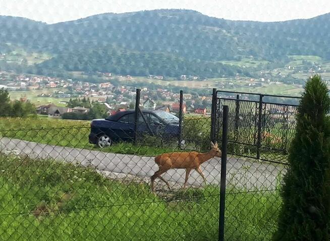 Sprzedam działkę w Męcinie