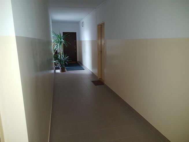 Mieszkanie 2 pok. do wynajęcia Ul.Kopcińskiego, Ursynów