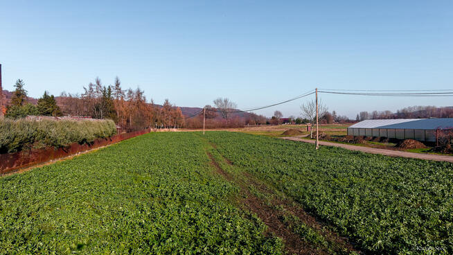 Działka budowlana w Olszynach!
