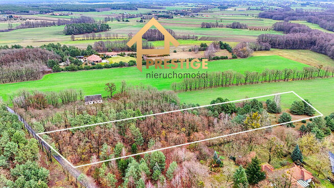 Działka pod budowę domu w leśnej okolicy.