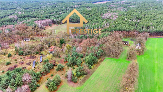 Działka pod budowę domu w leśnej okolicy.