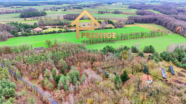 Działka pod budowę domu w leśnej okolicy.